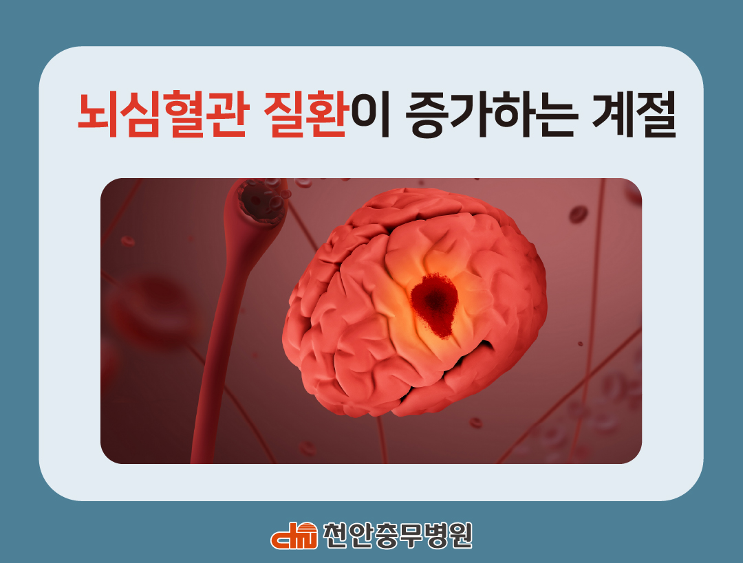 [전문의 칼럼] 뇌심혈관 질환이 증가하는 계절, 무엇을 점검해야 할까